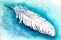 White Feather on Teal