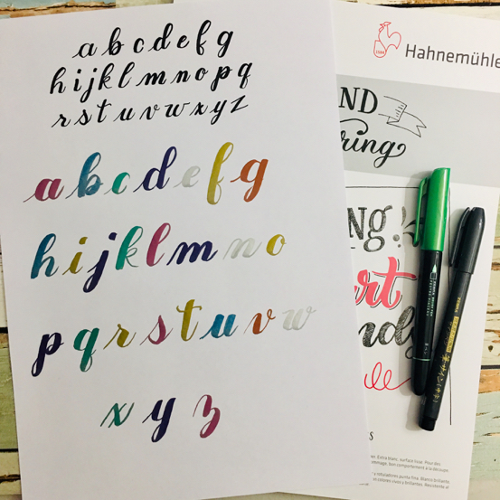 Hahnemühle Hand Lettering Paper & Zebra Brush Pens - Just Add Water Silly